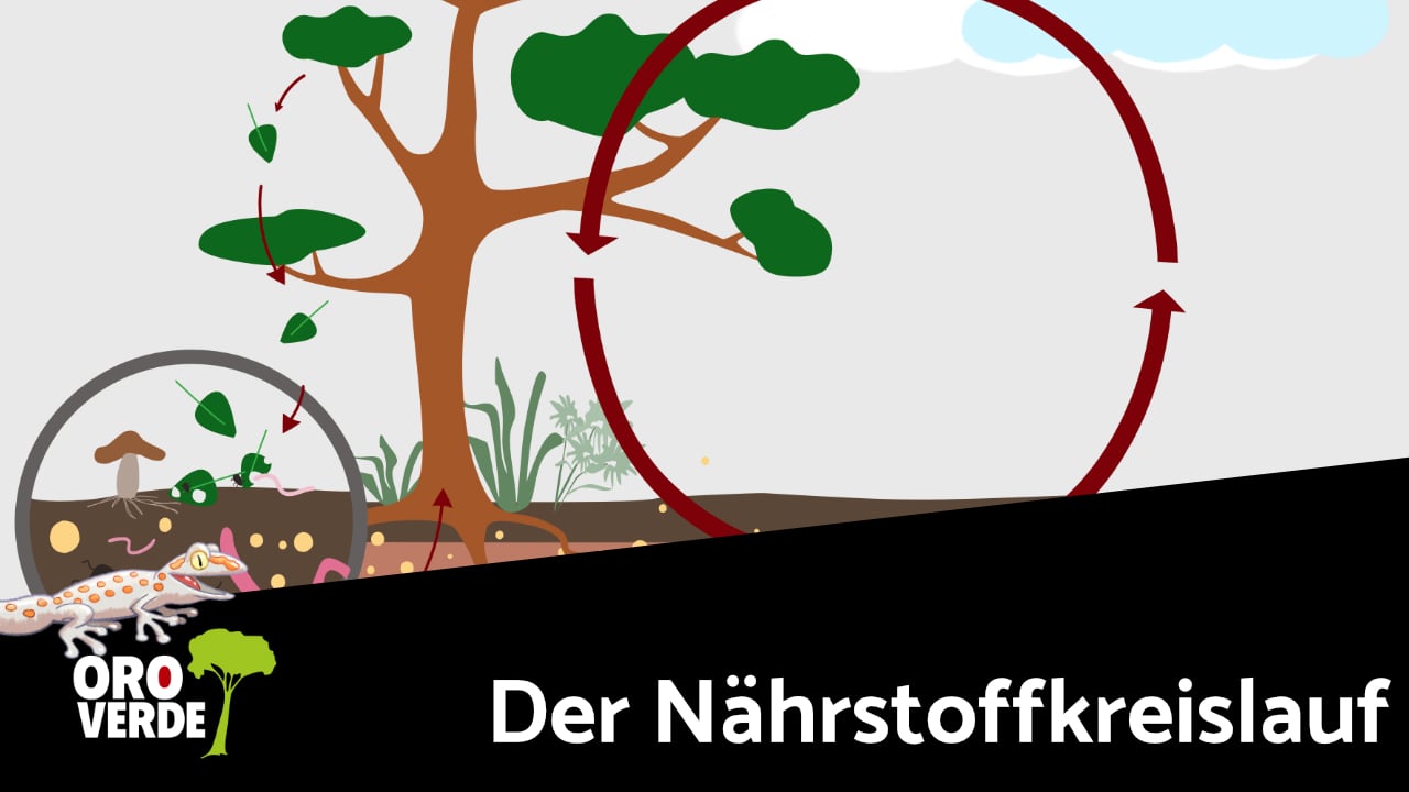 Digitale Lernwelten: Nährstoffkeislauf