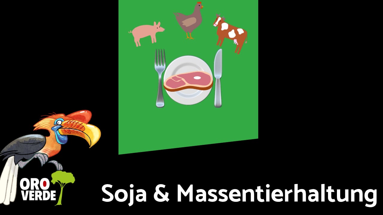 Huhn frisst Jaguar: Was Regenwald, Soja und Massentierhaltung verbindet.