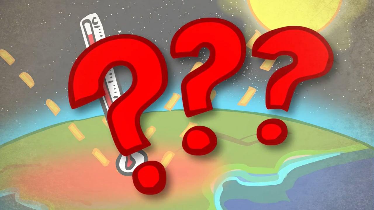 CO2, Regenwald und Klimaschutz - warum Bäume Klimaschützer sind?